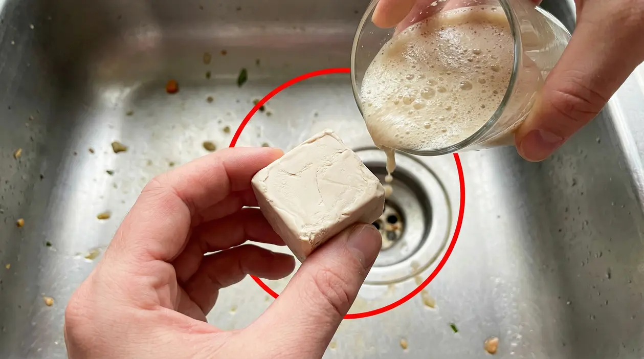 Cubo di lievito di birra e miscela liquida versata in un lavandino con scarico ostruito