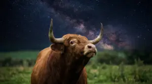 Un toro marrone in un prato con il cielo stellato sullo sfondo