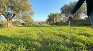 Persona che misura un terreno non edificabile con un metro, in un campo con alberi di ulivo
